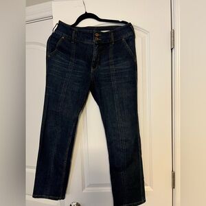 Pilcro and the Letterpress Dark Indigo Straight Leg Jeans- Ankle length